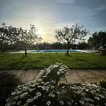 Podere Selvatici Lejlighed Imola