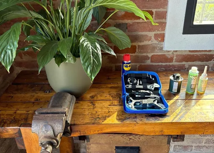 Daire Podere Selvatici *